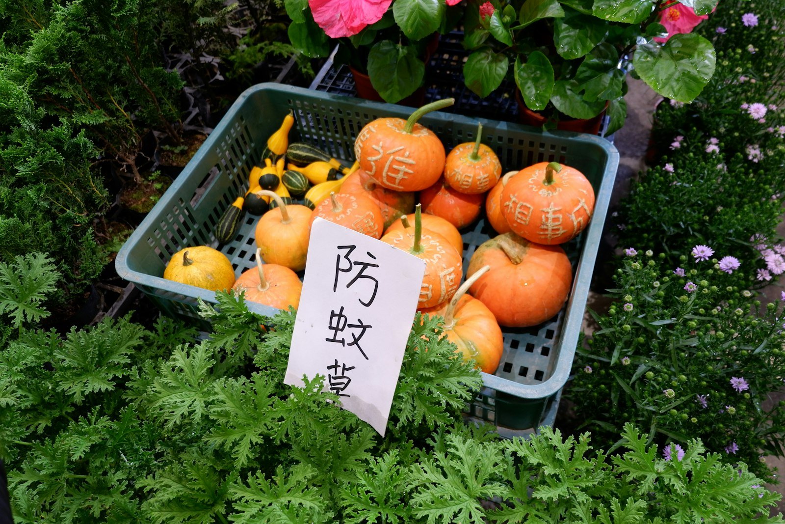 屏東 SEO 怎麼做？農產、觀光、民宿與在地服務業的關鍵字與內容策略